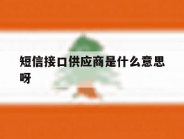 包含短信接口供应商是什么意思呀的词条