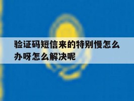 验证码短信来的特别慢怎么办呀怎么解决呢的简单介绍