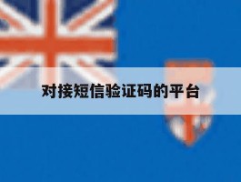 对接短信验证码的平台