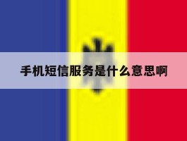 手机短信服务是什么意思啊