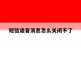 短信语音消息怎么关闭不了