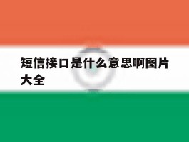 短信接口是什么意思啊图片大全
