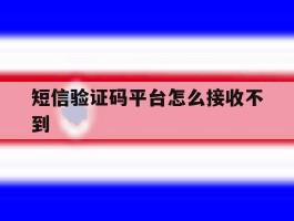 短信验证码平台怎么接收不到