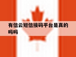 有信云短信接码平台是真的吗吗