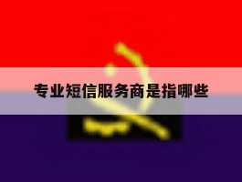 专业短信服务商是指哪些