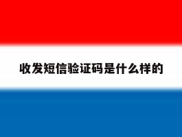 收发短信验证码是什么样的
