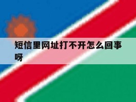 短信里网址打不开怎么回事呀