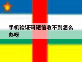 手机验证码短信收不到怎么办呀