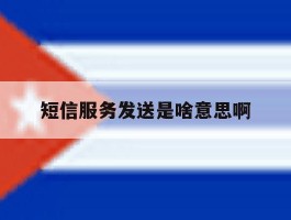 短信服务发送是啥意思啊