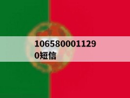1065800011290短信