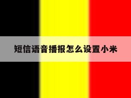 短信语音播报怎么设置小米