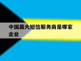 中国最大短信服务商是哪家企业