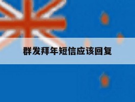 群发拜年短信应该回复